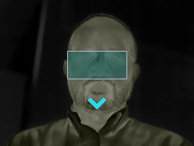 FLIR EST红外筛查:合乎规范!快速精准!